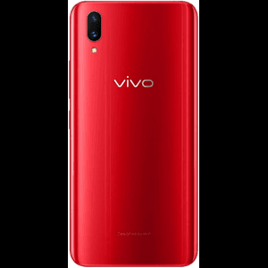 Vivo X21